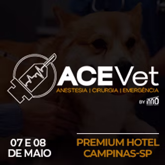 ACE 2027_Thumbnail_Site